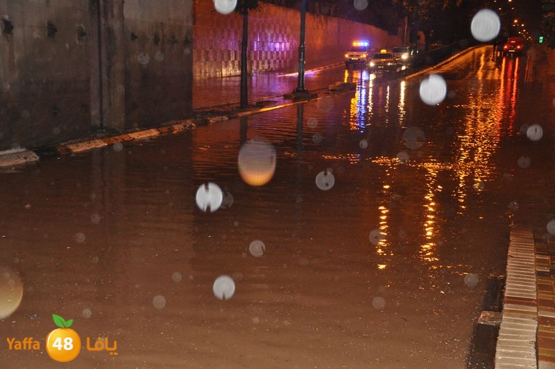 rain lud 1212 (19).JPG